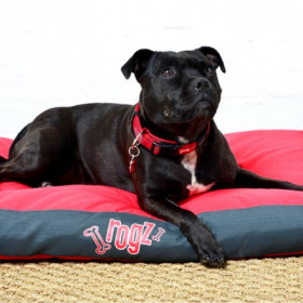 Rogz Jelly Bean Нашийник за кучета с обиколка на врата 20-31 см в червен цвят 